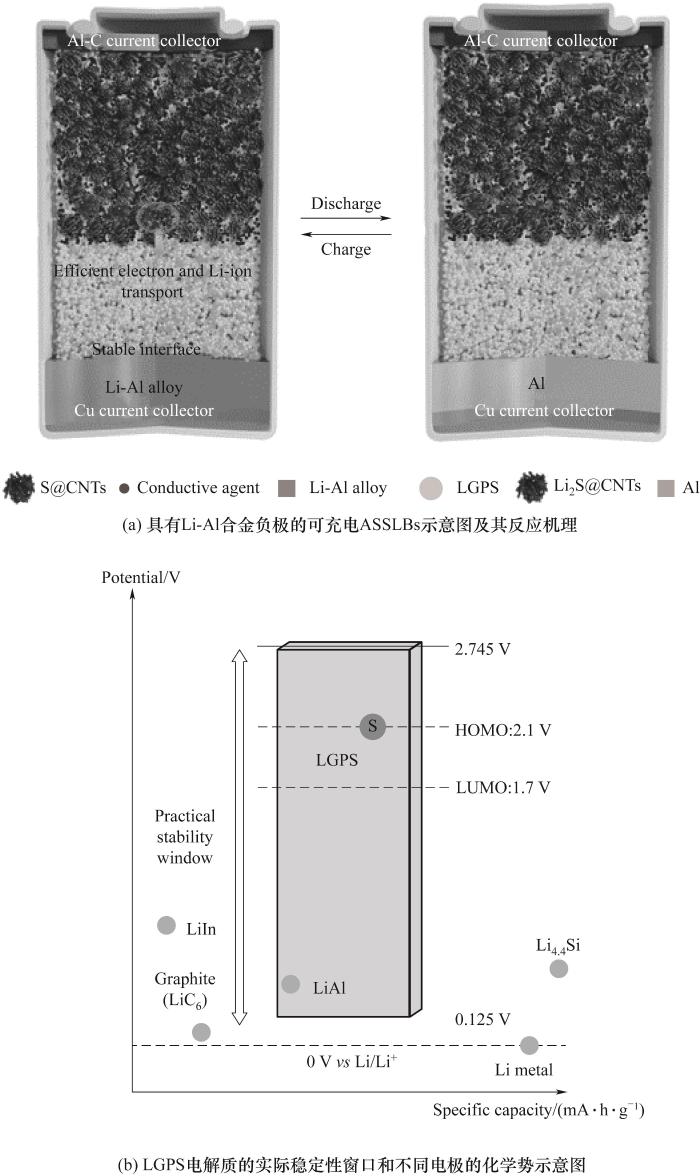 Fig.7 Schémas de l'anode en alliage Li-Al dans les ASSLB
