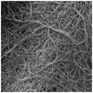 nanotube de carbone à parois multiples