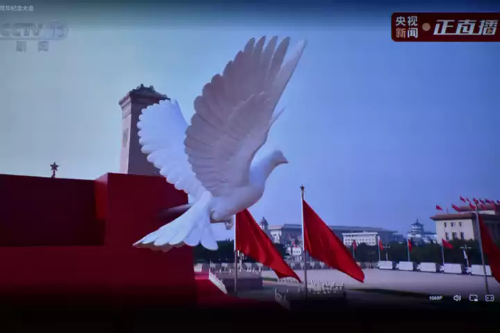 Patriotisme en action : TOB New Energy organise une projection collective du défilé militaire du 3 septembre pour unir et inspirer les forces vives
